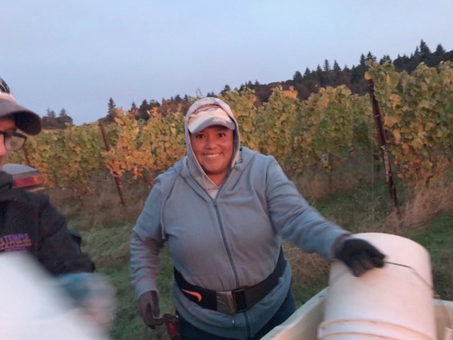 Photo of vineyard worker at Hope Well