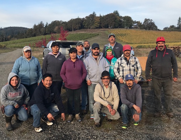 Photo of vineyard crew at Hope Well vineyard.
