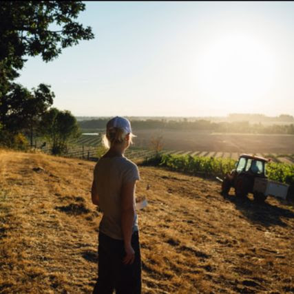 Mimi Casteel overlooking her vineyard.