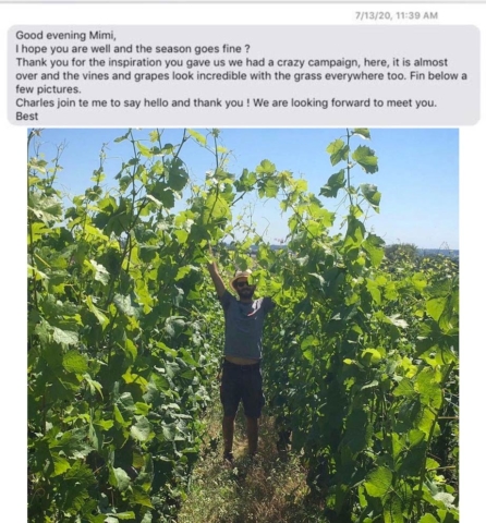 Domaine Arnoux-Lachaux, happily showing off their first vintage with full vegetative cover in the vines.