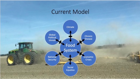 Current Food System Model
