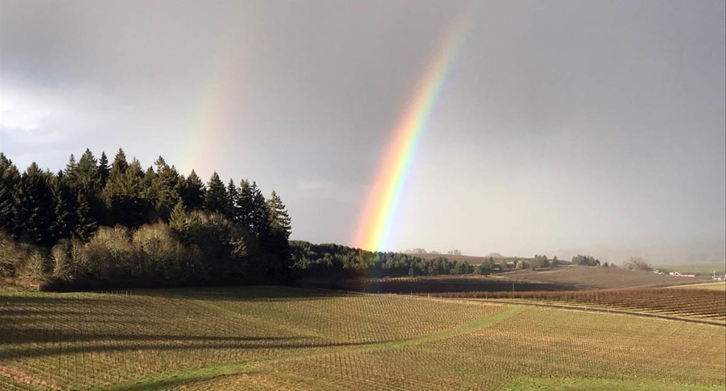 Double rainbow over Hope Well vineyard.