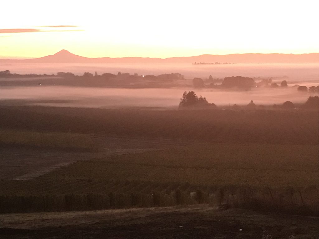 View of Mt. Hood